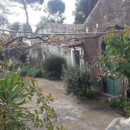 Masseria La Pergola *